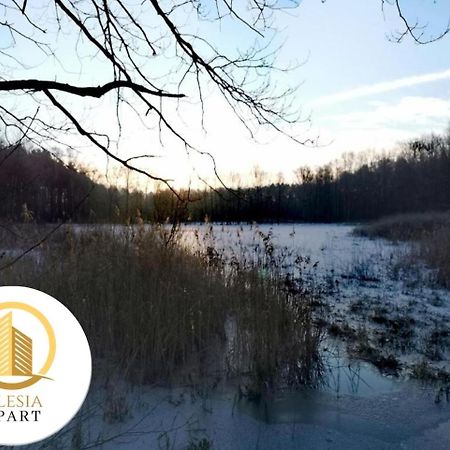 Apartament Granatowy Тихи Екстер'єр фото